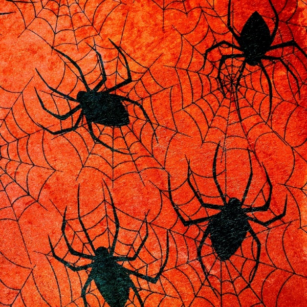 Halloween RED SPIDERWEB VELVET